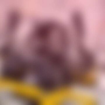 Formvollendeter Prototyp der Extraklasse; Foto: 3D-Zerspanungstechnik